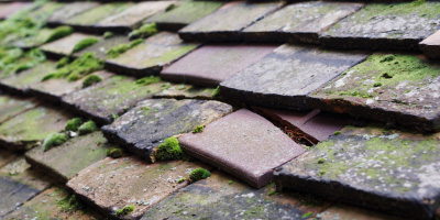 Tilbrook roof repair costs